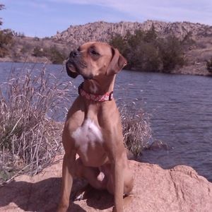 Meet your Posher, Michelle